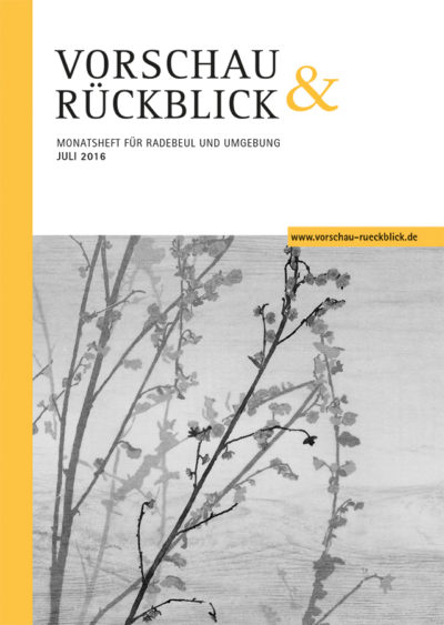 umschlag_Vorschau_7-16_druck.indd
